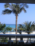 Ѱް