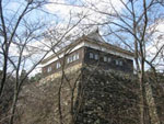 TR